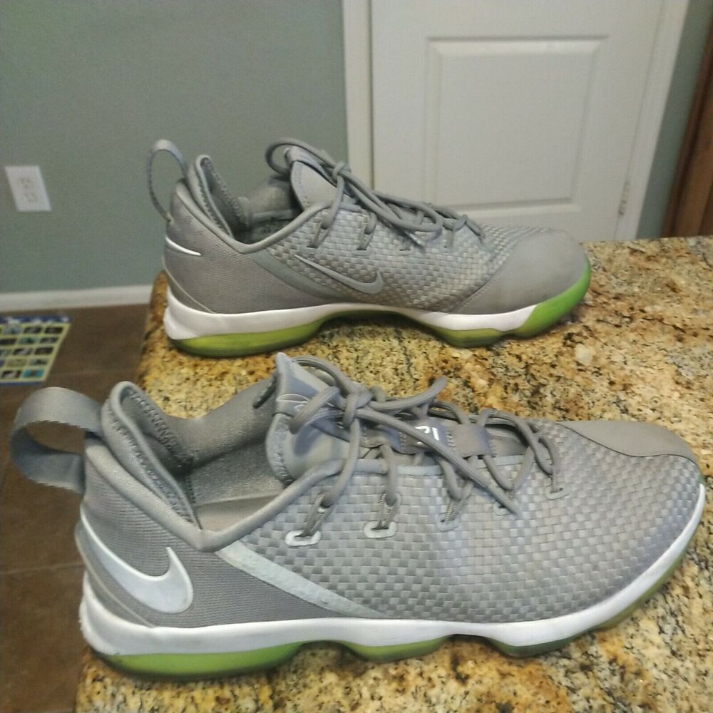 Nike Air Zoom Max LeBron James XIV 14 Low Dunkman Dust Reflect Silver 878636 005